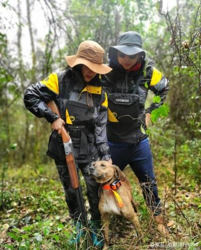 猎犬打猎电影有哪几部 