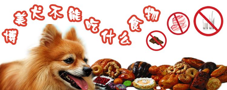 博美犬不能吃什么食物