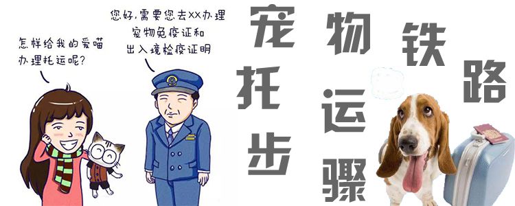 宠物铁路托运步骤