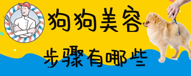 狗狗美容步骤有哪些