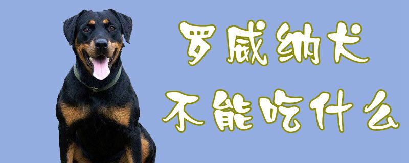 罗威纳犬不能吃什么