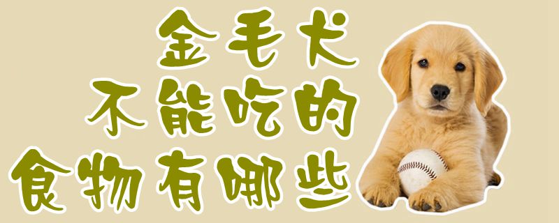 金毛犬不能吃的食物有哪些