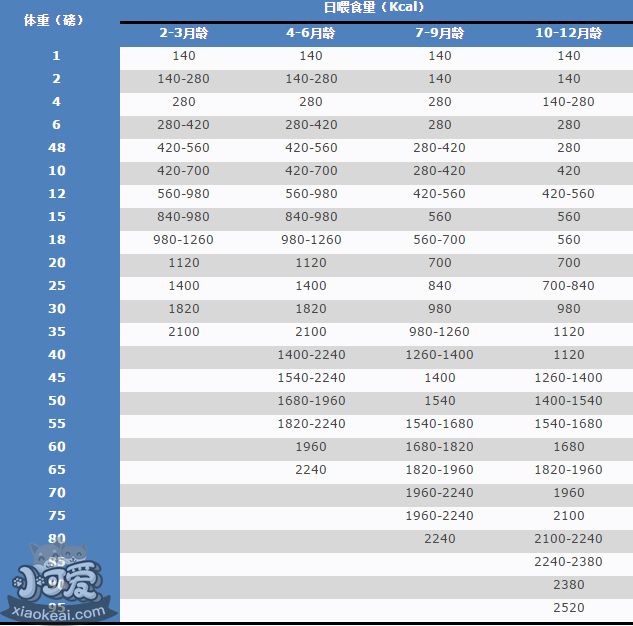 喂狗别喂饱寿命更长 给狗狗喂食的四个基本原则