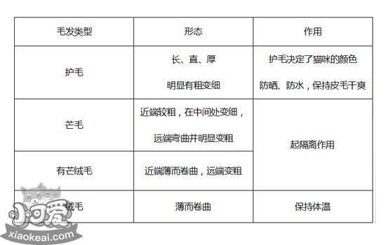 狗狗的病号餐制作方法 怎样给狗狗自制狗粮