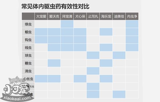 狗狗驱虫药怎么吃 狗狗驱虫那些事儿