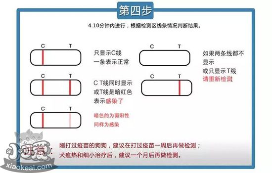 狗狗细小如何治疗 犬细小的判断准则及救治原理