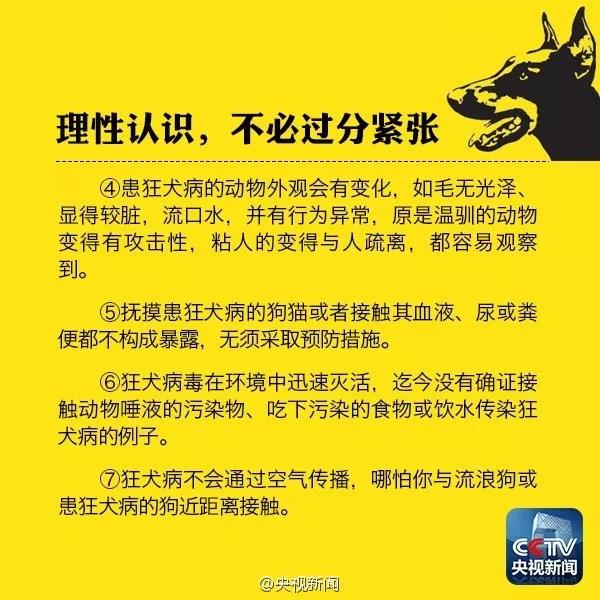 被小狗轻微抓伤怎么办 怎么做可最大限度预防狂犬病?