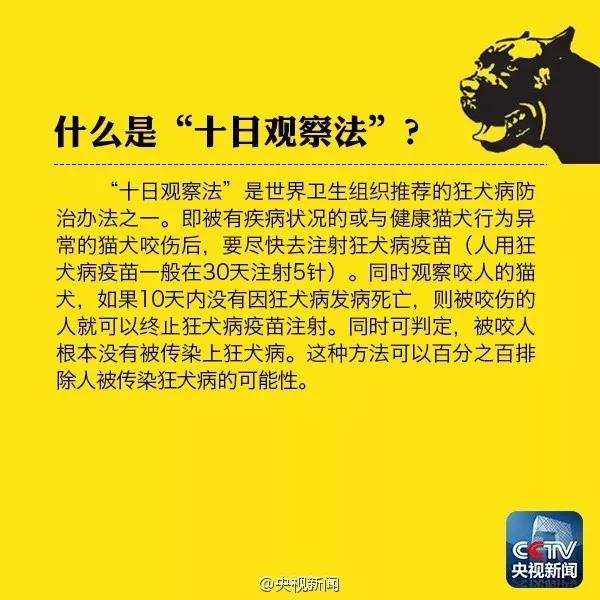 狗咬人第一时间处理 伤口消毒好了才能有效预防