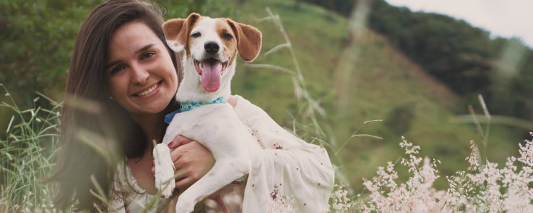 幼犬能吃成犬粮吗 小心造成营养不良!