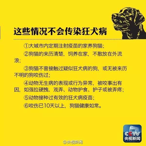 狗用爪子抓破多久打针 别着急先看看要不要打针！