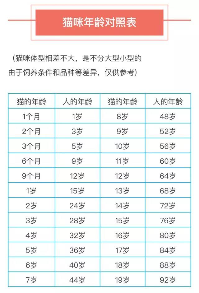 猫可以活多少年 寿命和饮食、护理、品种都是有关的！