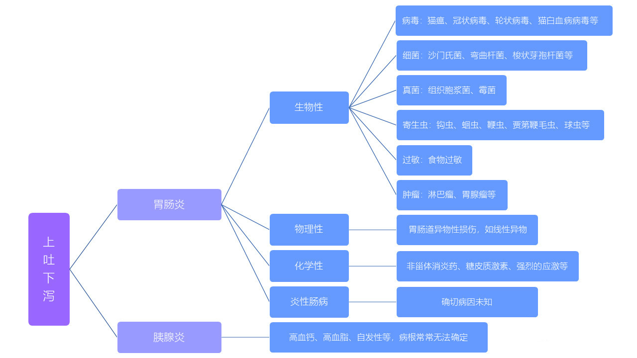 猫咪上吐下泻能自愈吗 疾病问题是不可能自愈的