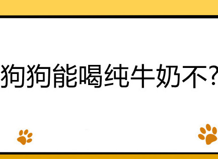 狗狗能喝纯牛奶不