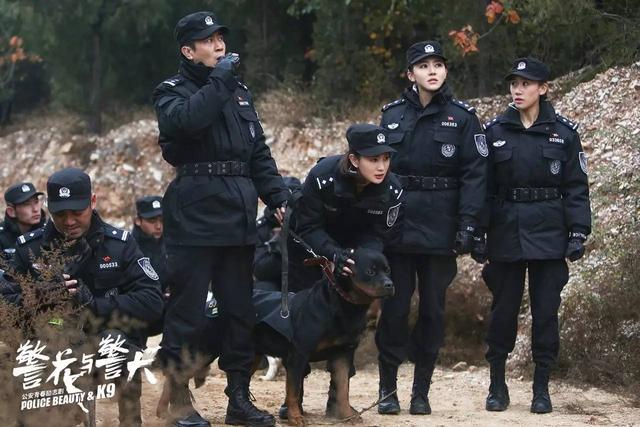 电影警犬卡尔(警犬卡尔 电视剧)